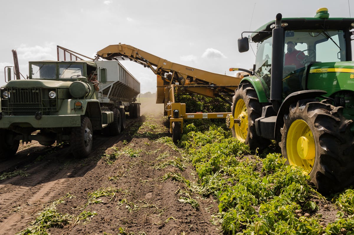 Colheitadeira em campo de grãos representando o agronegócio brasileiro