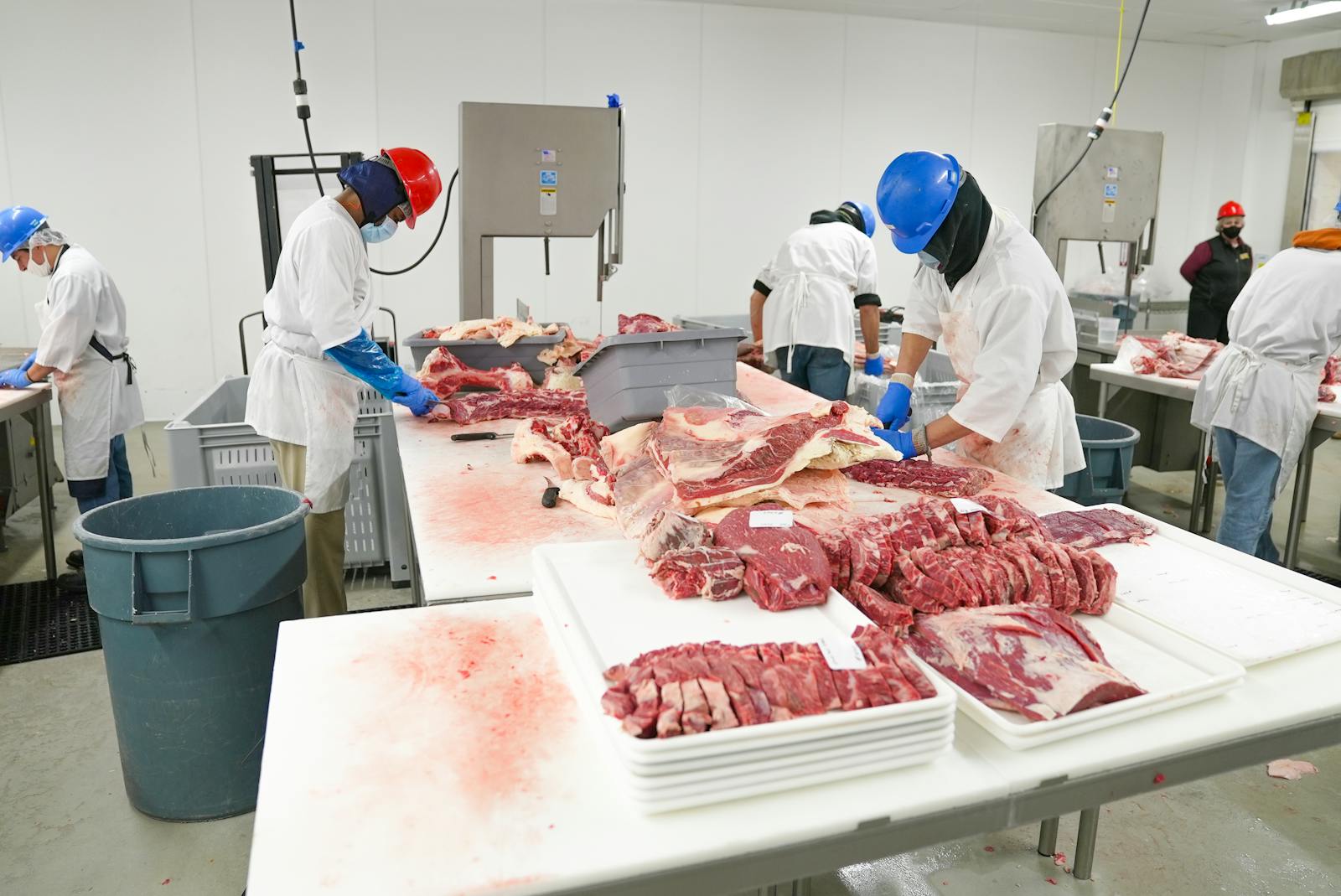 Produção de carne - linha de processamento industrial